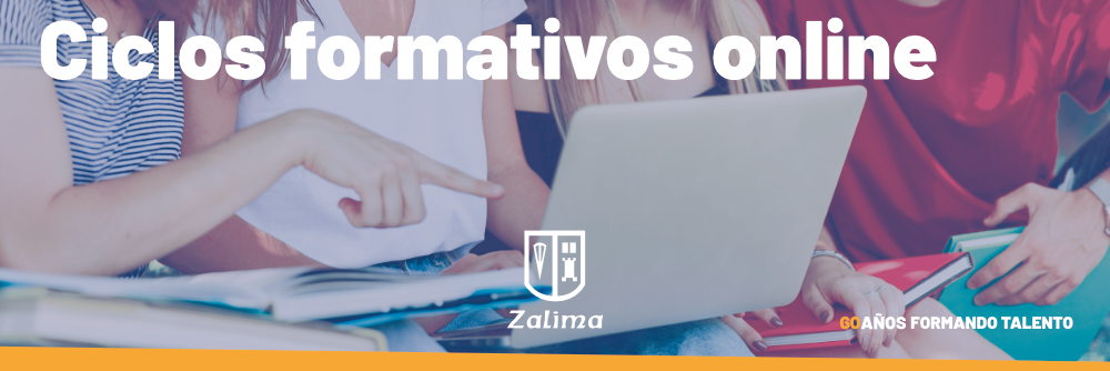 Ciclos formativos online
