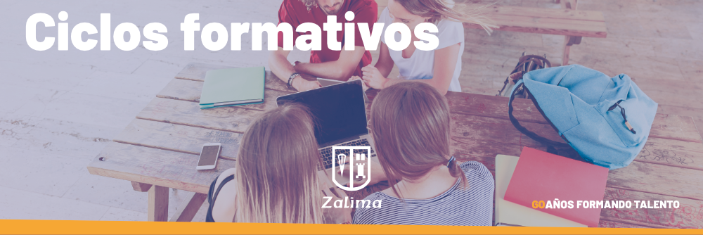 Ciclos formativos online
